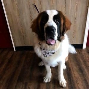 Meet your Posher, Craig